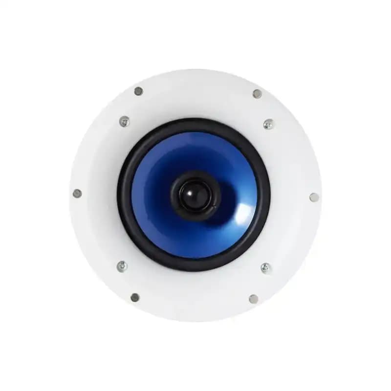live-performance-equipments-ceiling-speaker