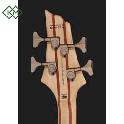 guitar-bass-guitar-ltd-b-204-spalted-maple-ns