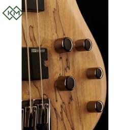 guitar-bass-guitar-ltd-b-204-spalted-maple-ns