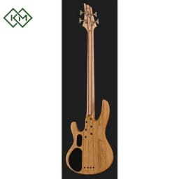 guitar-bass-guitar-ltd-b-204-spalted-maple-ns