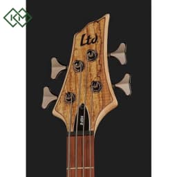 guitar-bass-guitar-ltd-b-204-spalted-maple-ns