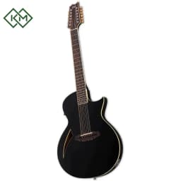 guitar-acoustic-guitar-ltd-tl-12-black