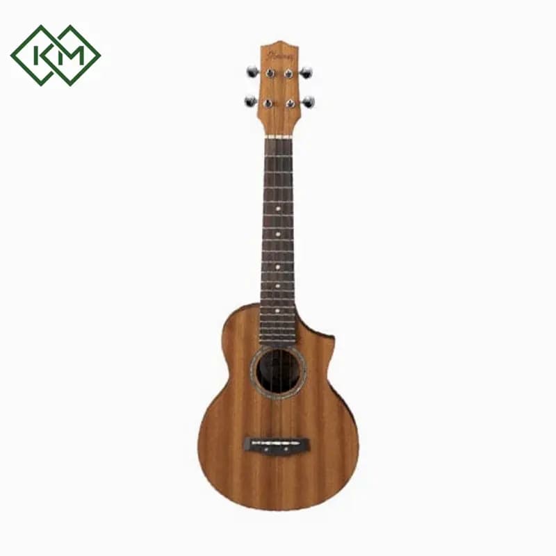 guitar-ukulele-ibanez-uew5-opn