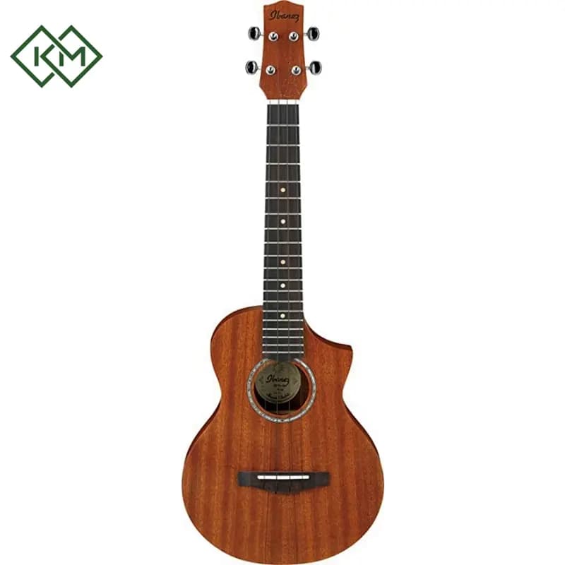guitar-ukulele-ibanez-uewt5-opn