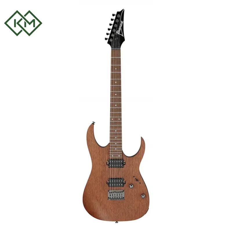 guitar-electric-guitar-ibanez-rg421-mol
