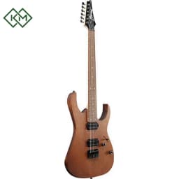 guitar-electric-guitar-ibanez-rg421-mol
