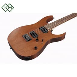 guitar-electric-guitar-ibanez-rg421-mol