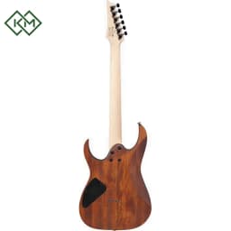 guitar-electric-guitar-ibanez-rg421-mol