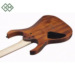 guitar-electric-guitar-ibanez-rg421-mol