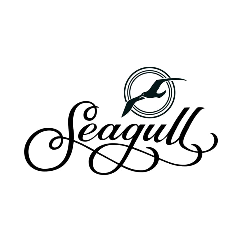 Seagull