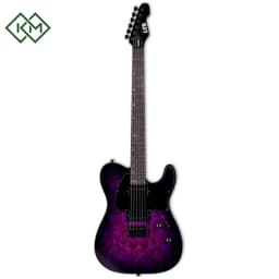 guitar-electric-guitar-ltd-te-200dx-purple-burst