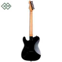 guitar-electric-guitar-ltd-te-200dx-purple-burst