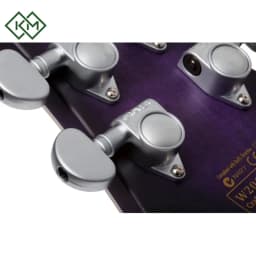 guitar-electric-guitar-schecter-c-1-platinum-satin-purple-burst