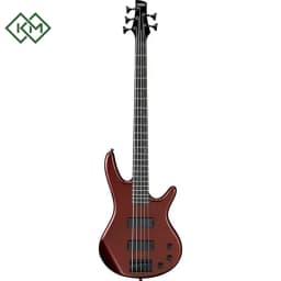 guitar-bass-guitar-ibanez-gsr325-cwf