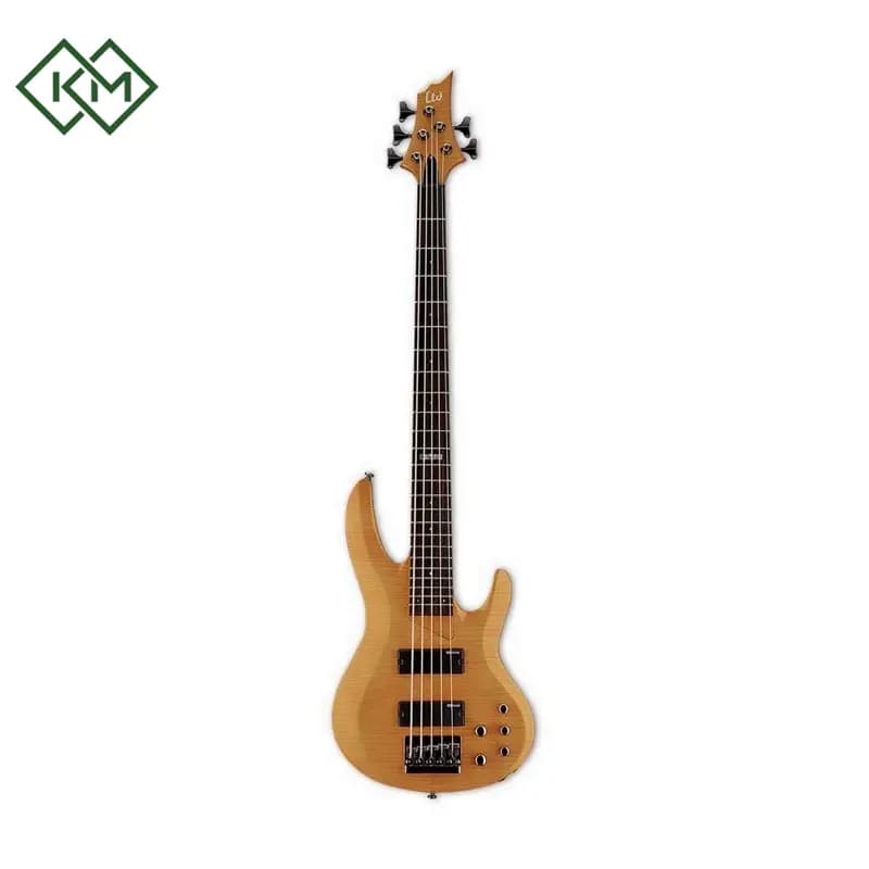 guitar-bass-guitar-ltd-b-155dx