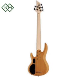 guitar-bass-guitar-ltd-b-155dx