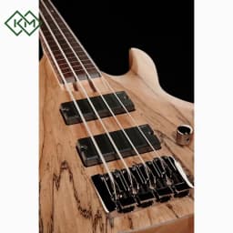 guitar-bass-guitar-ltd-b-204-spalted-maple-fretless-natural-satin
