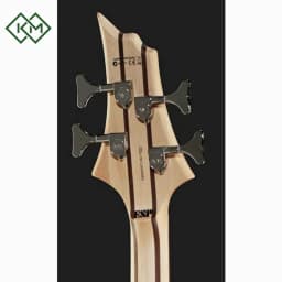 guitar-bass-guitar-ltd-b-204-spalted-maple-fretless-natural-satin
