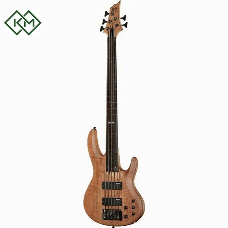 guitar-bass-guitar-ltd-b-205-spalted-maple-natural-satin