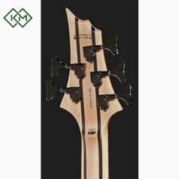 guitar-bass-guitar-ltd-b-205-spalted-maple-natural-satin