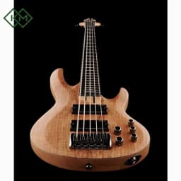 guitar-bass-guitar-ltd-b-205-spalted-maple-natural-satin