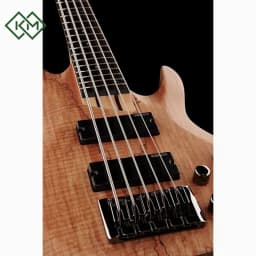 guitar-bass-guitar-ltd-b-205-spalted-maple-natural-satin