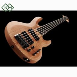 guitar-bass-guitar-ltd-b-205-spalted-maple-natural-satin