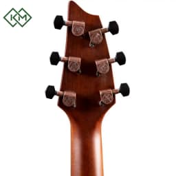 guitar-acoustic-guitar-breedlove-pursuit-exotic-s-concert-amber-ce