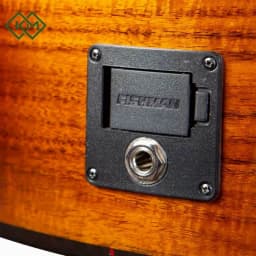 guitar-acoustic-guitar-breedlove-pursuit-exotic-s-concert-edgeburst-ce