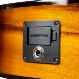 guitar-acoustic-guitar-breedlove-pursuit-exotic-s-concert-tigers-eye