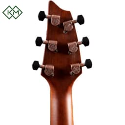 guitar-acoustic-guitar-breedlove-pursuit-exotic-s-concert-tigers-eye
