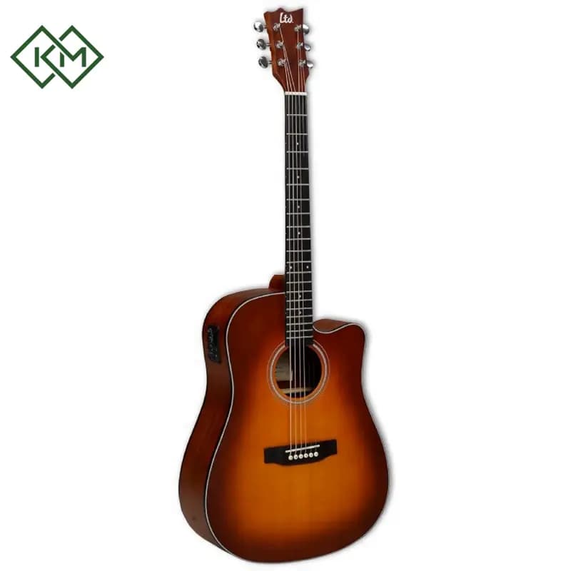 guitar-acoustic-guitar-ltd-d100-absbs
