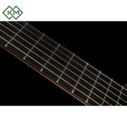 guitar-classical-flamenco-guitar-alhambra-10fp