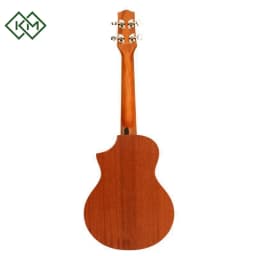 guitar-ukulele-ibanez-uewt5-opn