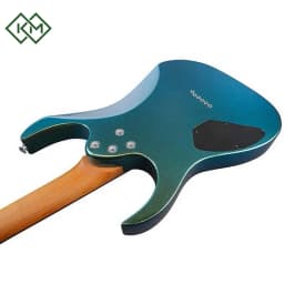 guitar-electric-guitar-ibanez-grg121sp-gyc