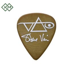 instrument-accessories-pick-ibanez-1000svbr-steve-vai-brown-10mm