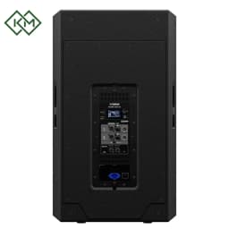 live-performance-equipments-active-speaker-yamaha-dzr315-d