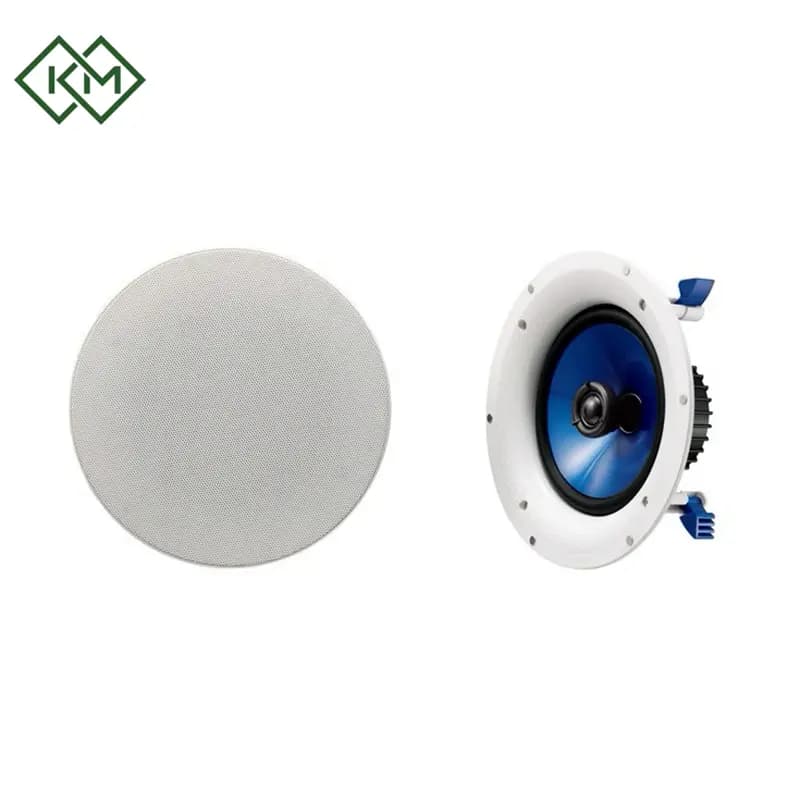 live-performance-equipments-ceiling-speaker-yamaha-ns-ic800