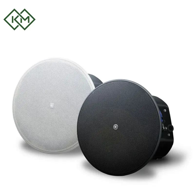 live-performance-equipments-ceiling-speaker-yamaha-vxc4