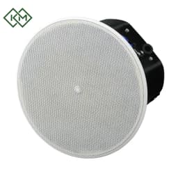 live-performance-equipments-ceiling-speaker-yamaha-vxc4