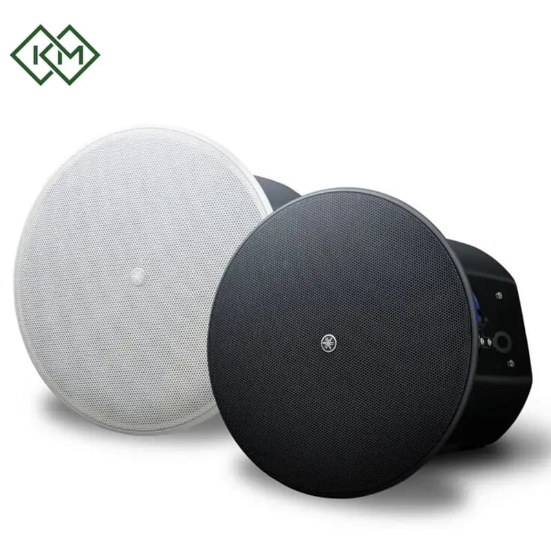 live-performance-equipments-ceiling-speaker-yamaha-vxc6