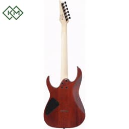 guitar-electric-guitar-ibanez-rg421s-sem