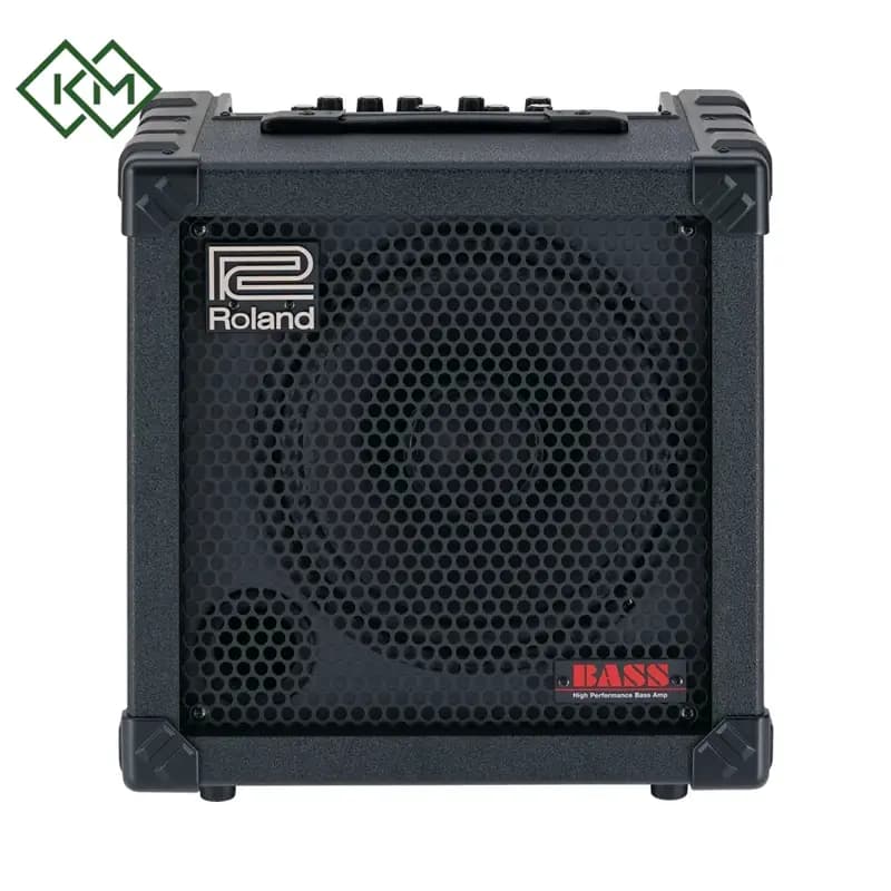 amplifier-electric-amplifier-roland-cube-10gx