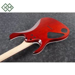 guitar-electric-guitar-ibanez-rga42fm-tgf