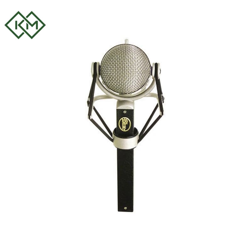 studio-equipments-studio-microphone-blue-mic-dragonfly