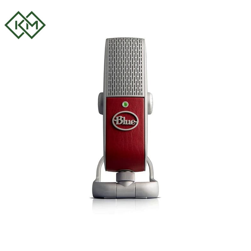 studio-equipments-studio-microphone-blue-mic-raspberry