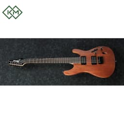 guitar-electric-guitar-ibanez-s521-mol