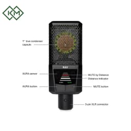 studio-equipments-studio-microphone-lewitt-ray